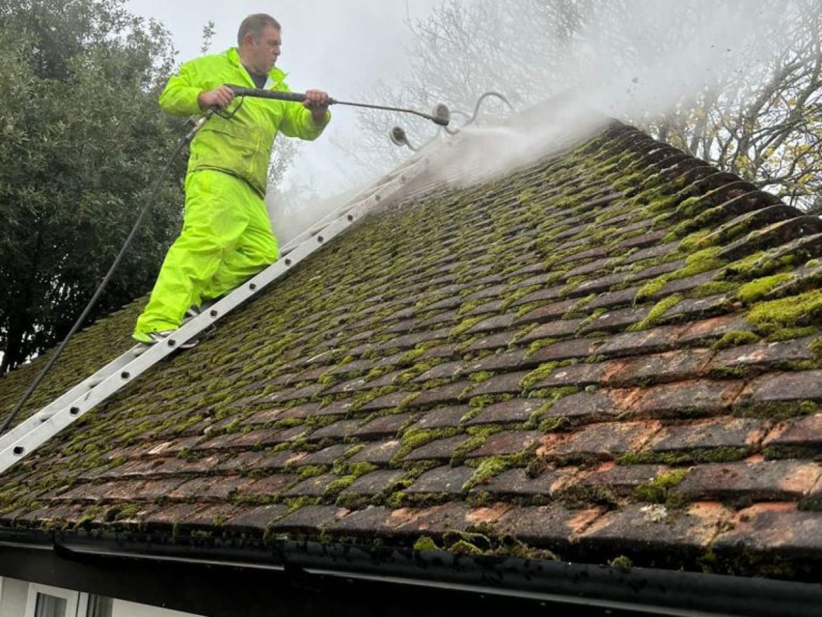 The Ultimate Guide to Roof Moss Removal: What You Need to Know